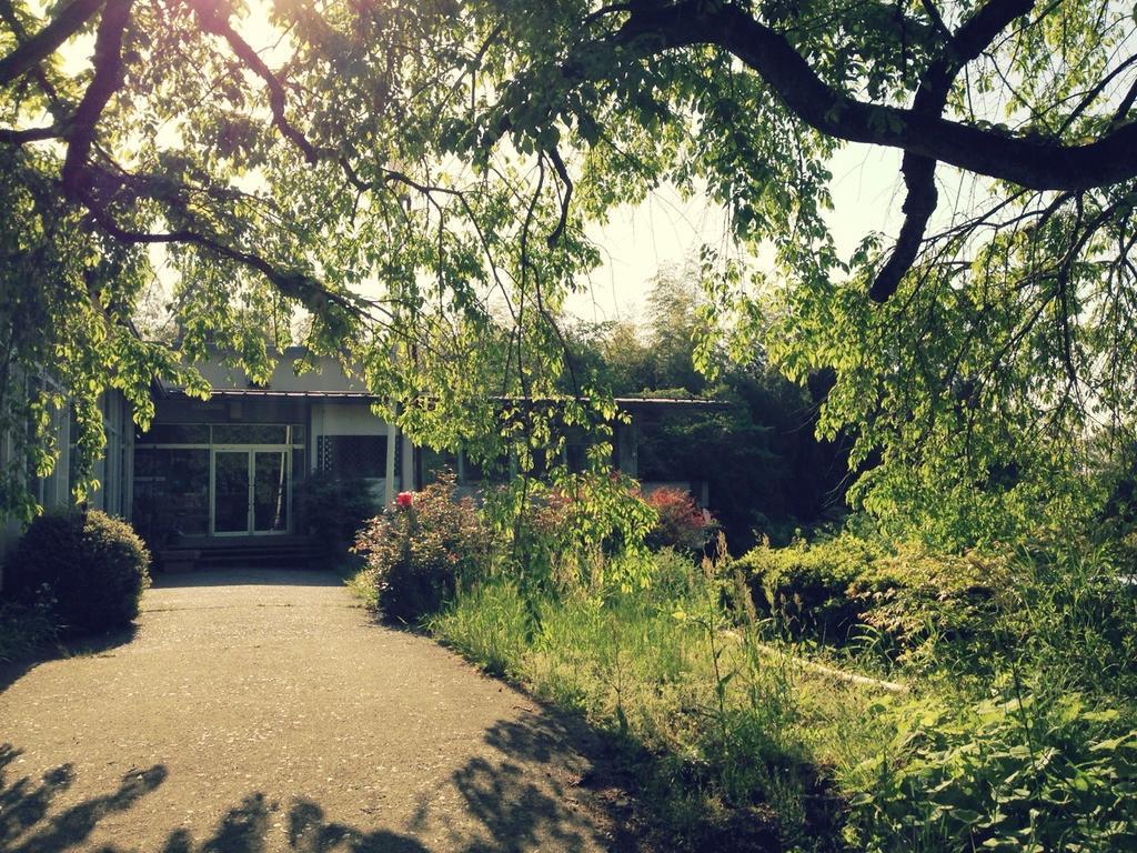 Amanohashidate Youth Hostel Miyazu Luaran gambar