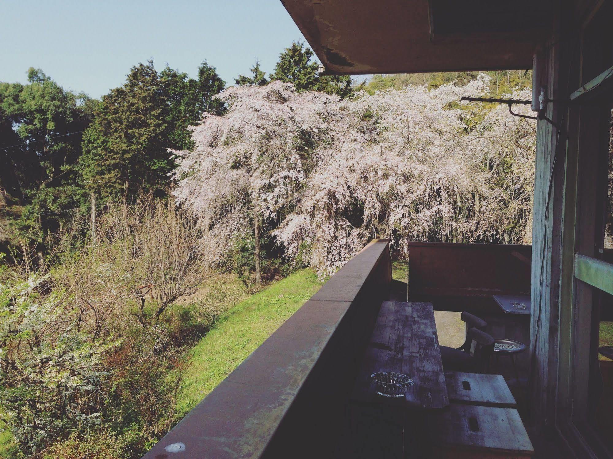 Amanohashidate Youth Hostel Miyazu Luaran gambar