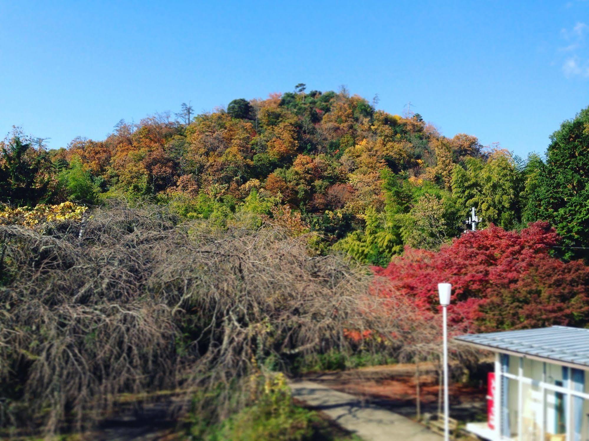 Amanohashidate Youth Hostel Miyazu Luaran gambar